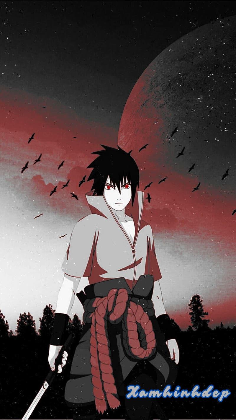 Album ảnh sasuke miễn phí