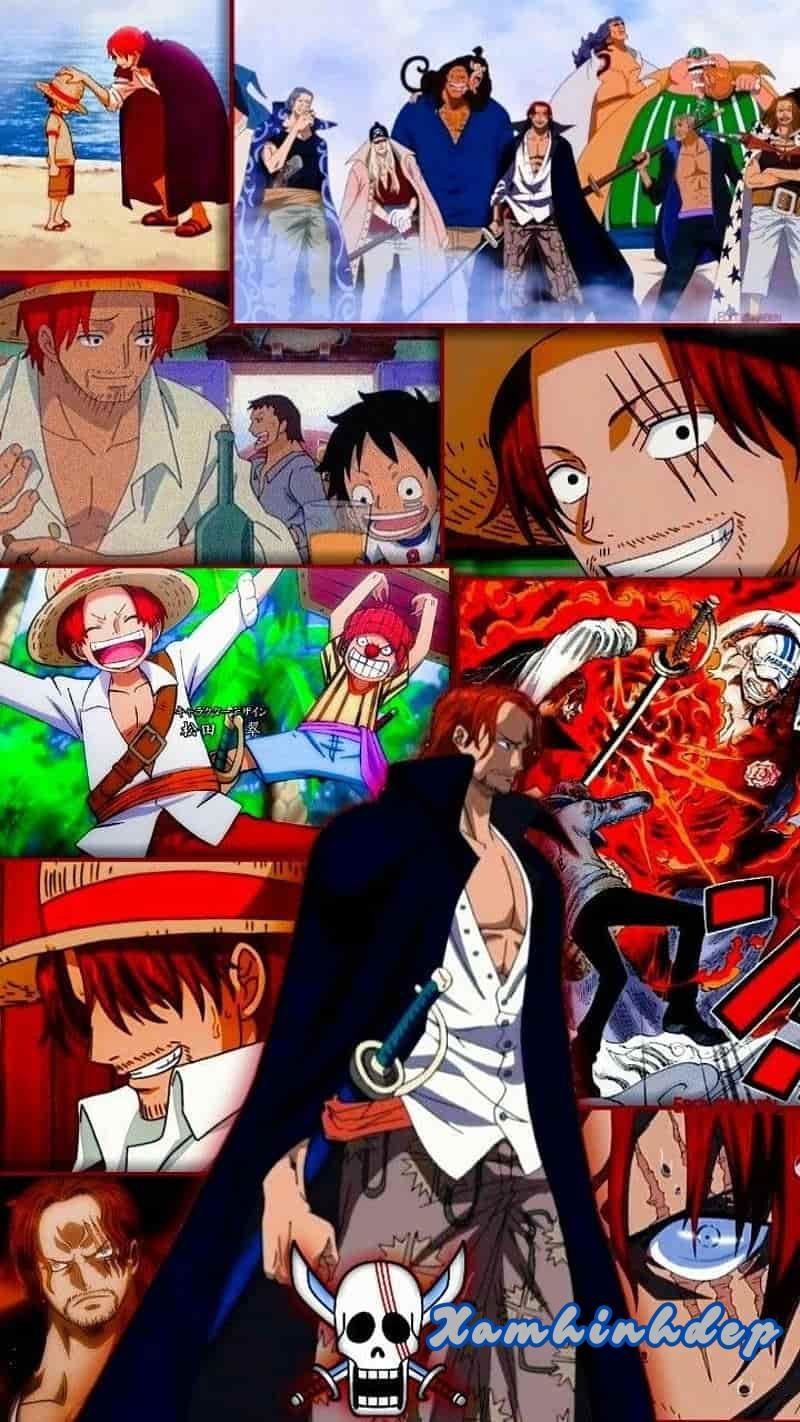 Album ảnh shanks miễn phí