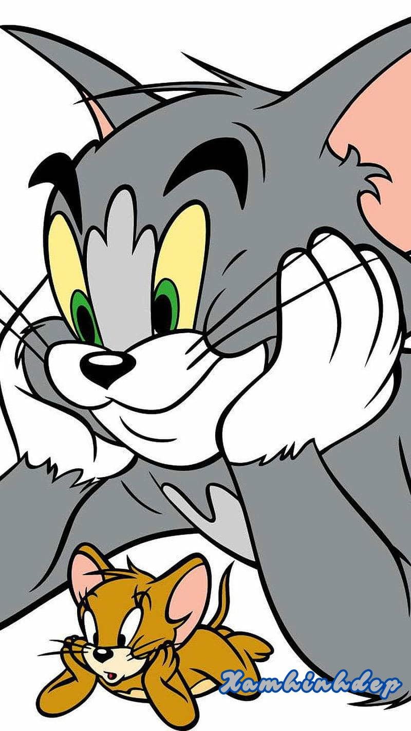 Album ảnh tom và jerry mới nhất