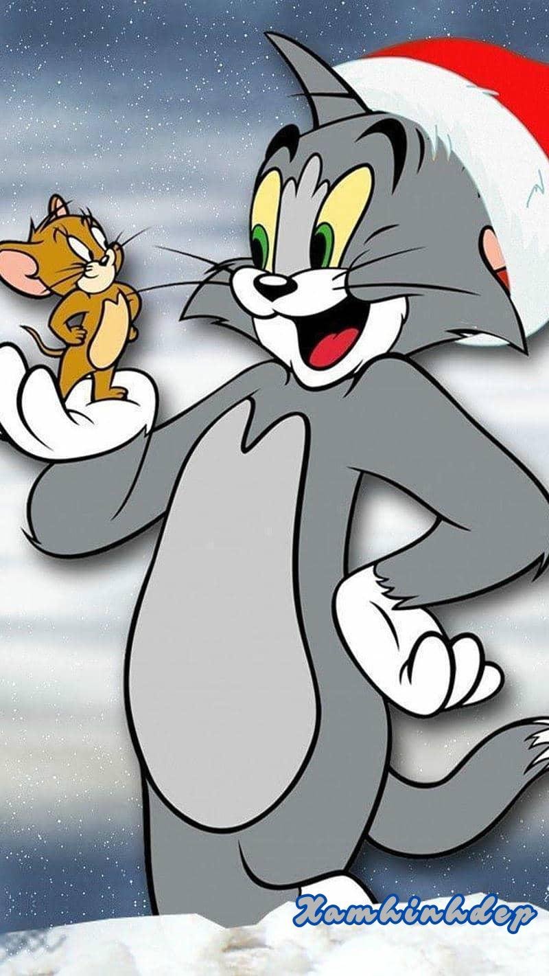 Album ảnh tom và jerry thu hút nhất
