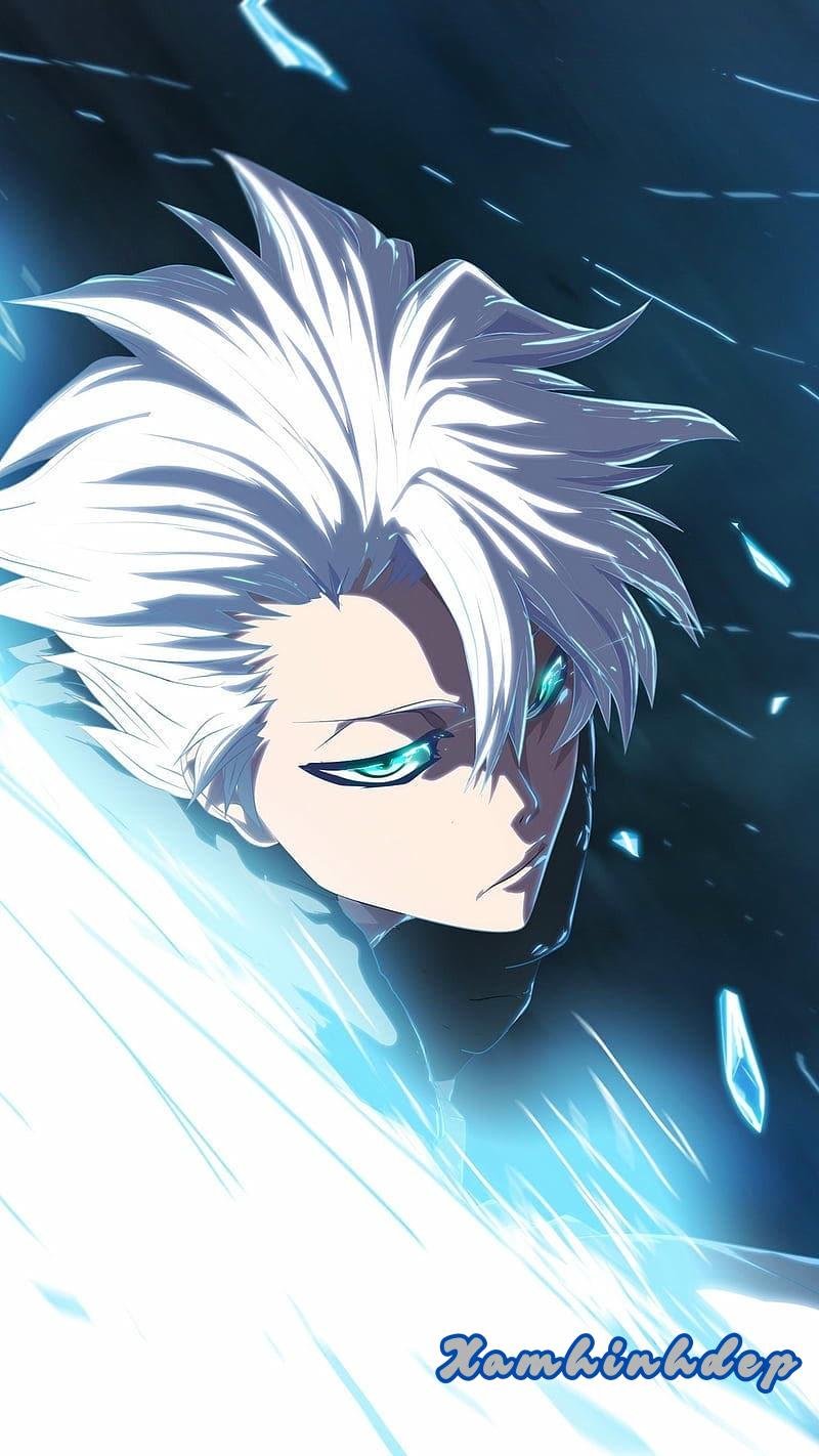 Album ảnh toshiro hitsugaya miễn phí