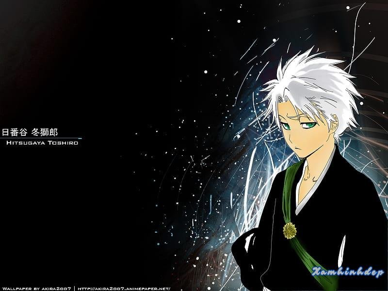 Album ảnh toshiro hitsugaya mới nhất