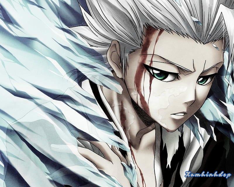 Album ảnh toshiro hitsugaya thu hút