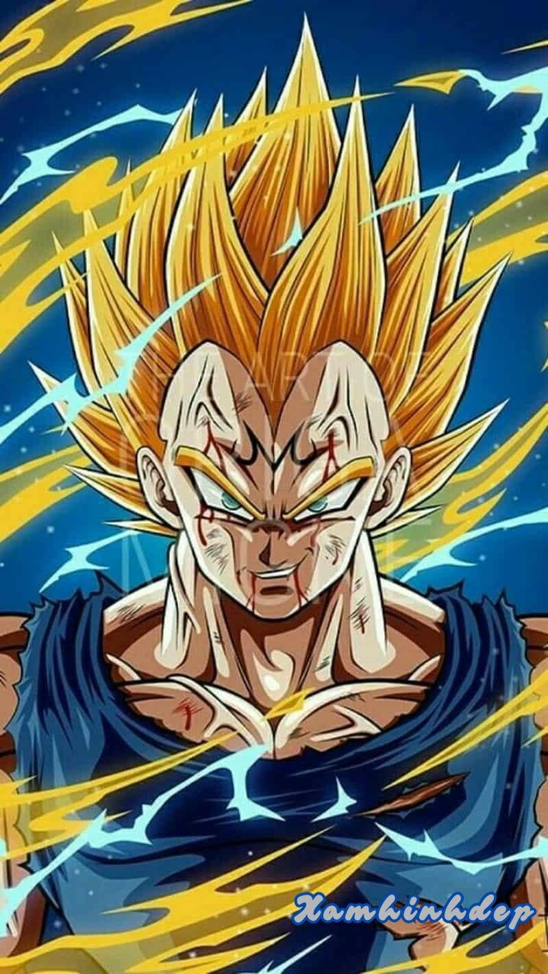 Album ảnh vegeta miễn phí