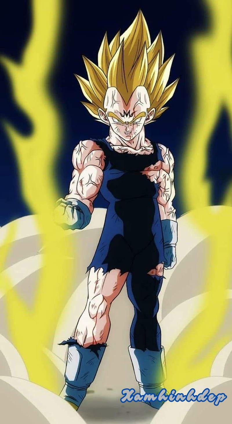 Album ảnh vegeta mới nhất