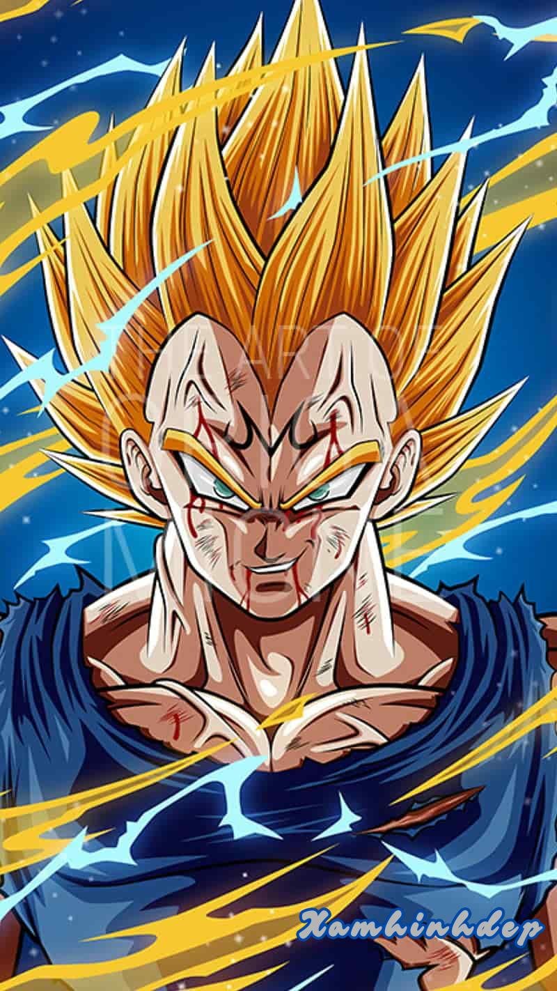 Album ảnh vegeta thu hút nhất