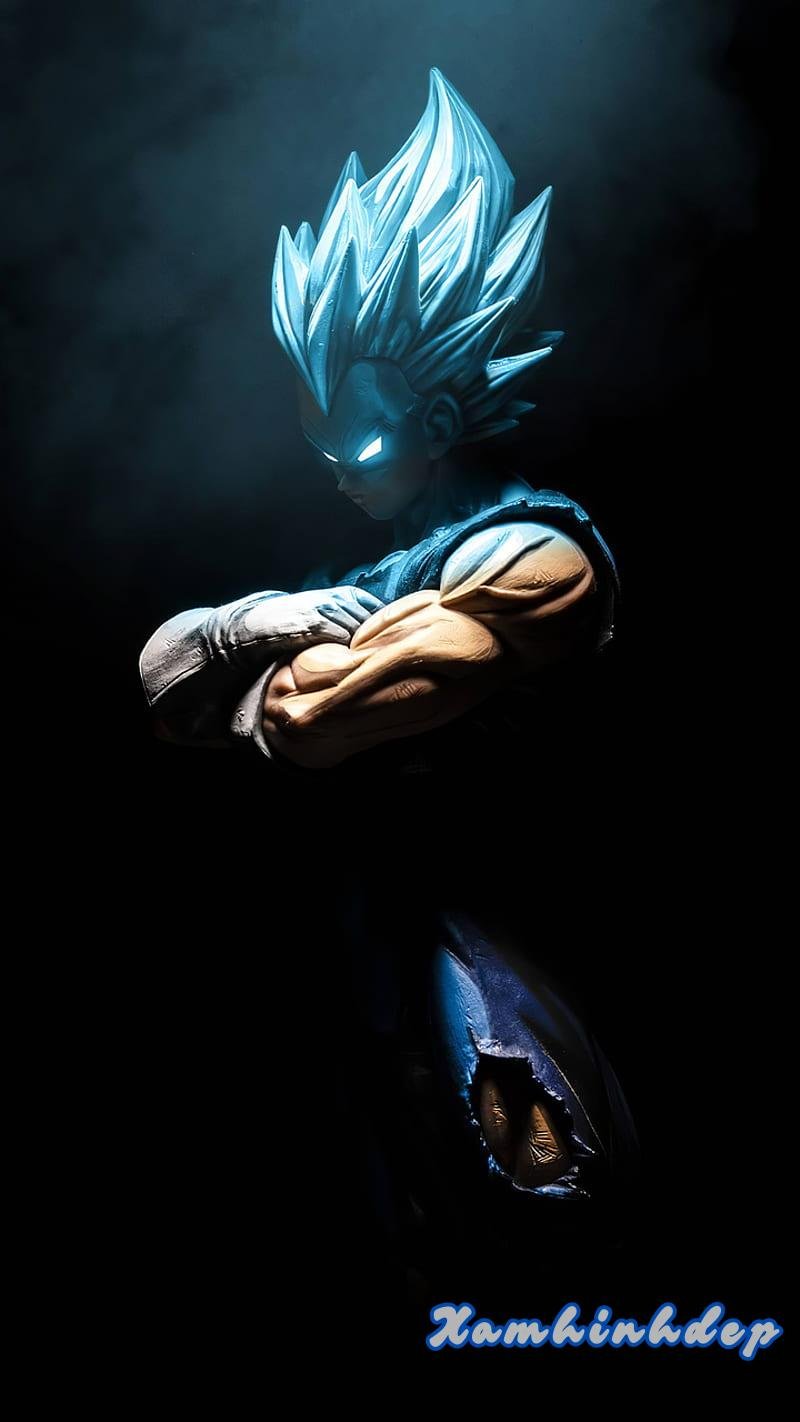 Album ảnh vegeta thu hút