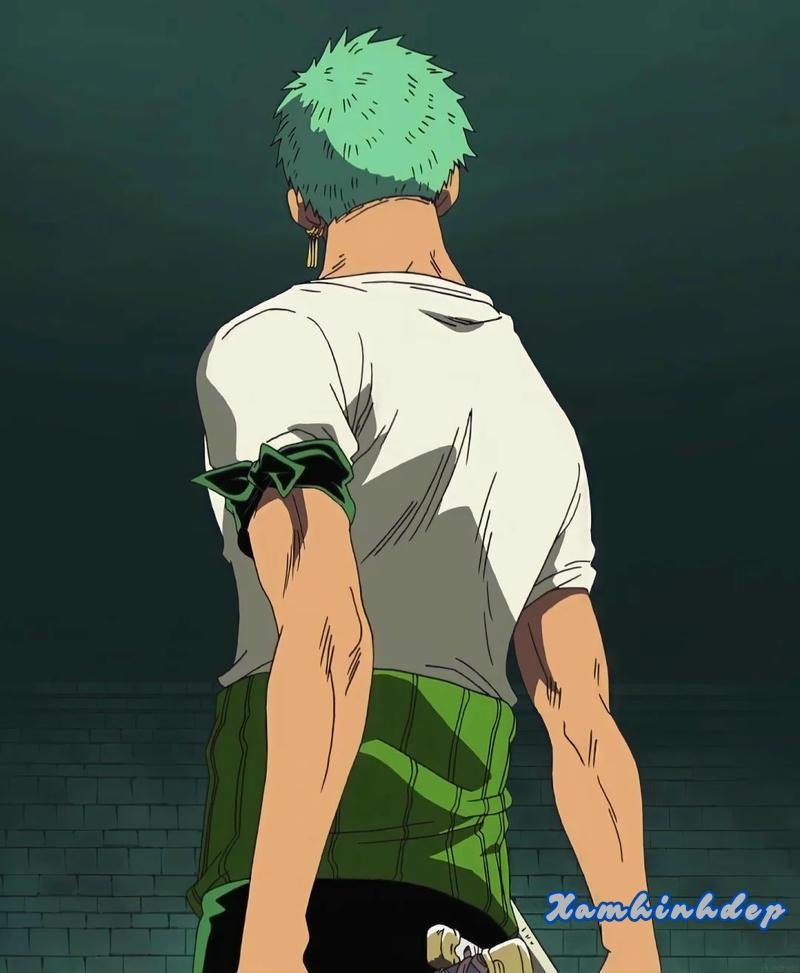 Album ảnh zoro mới nhất