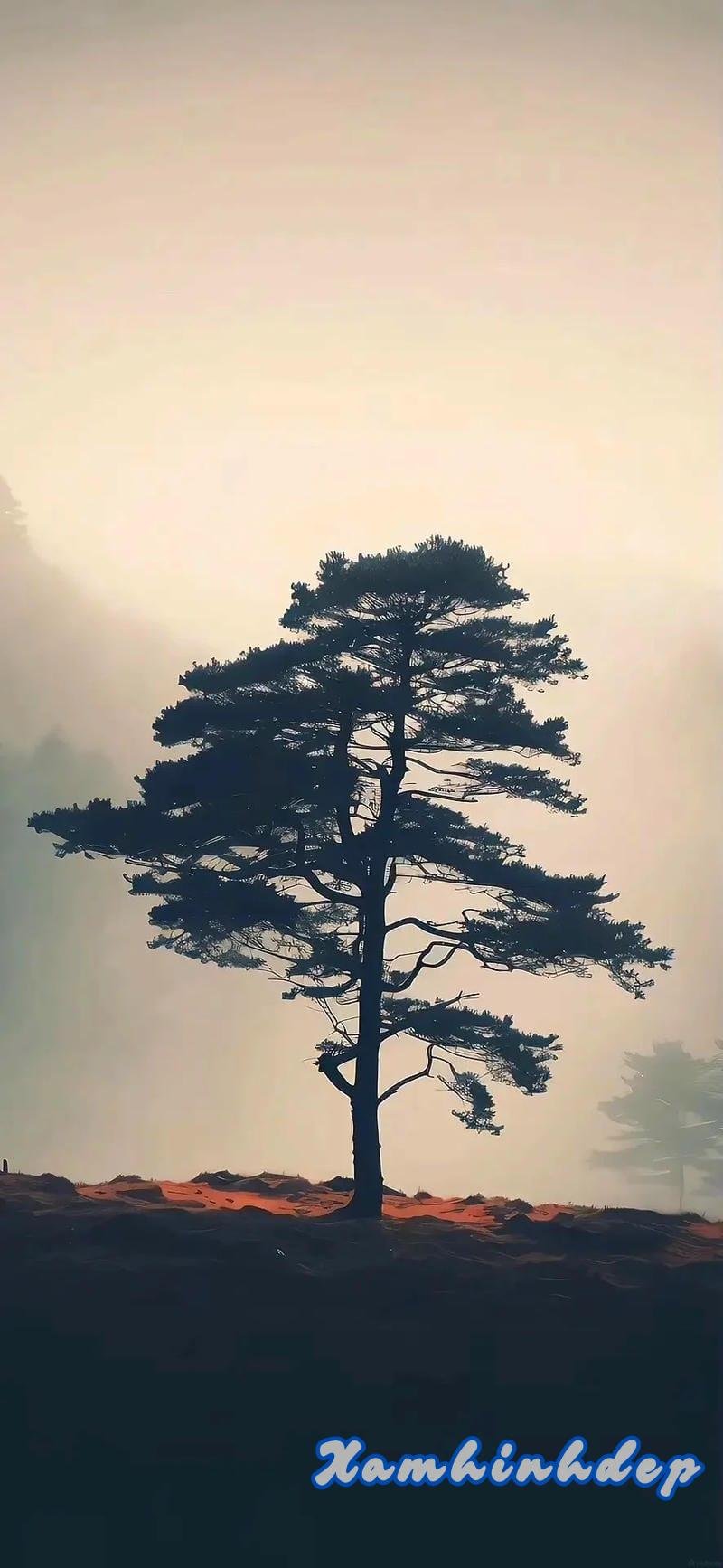 Album hình nền 4k miễn phí