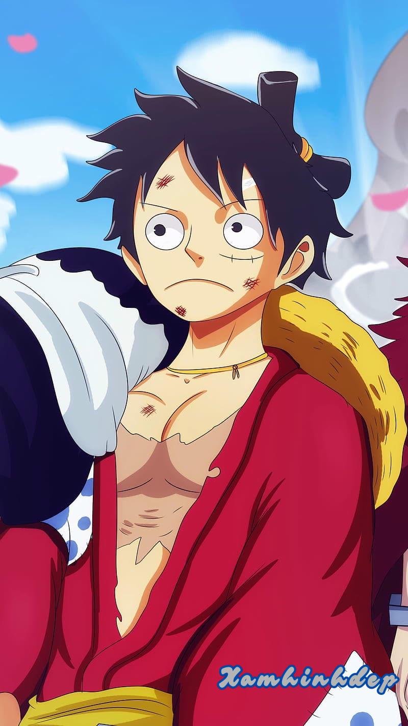Album hình nền luffy mới nhất