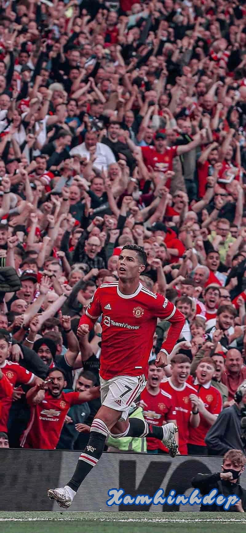 Album hình nền manchester United cực hot