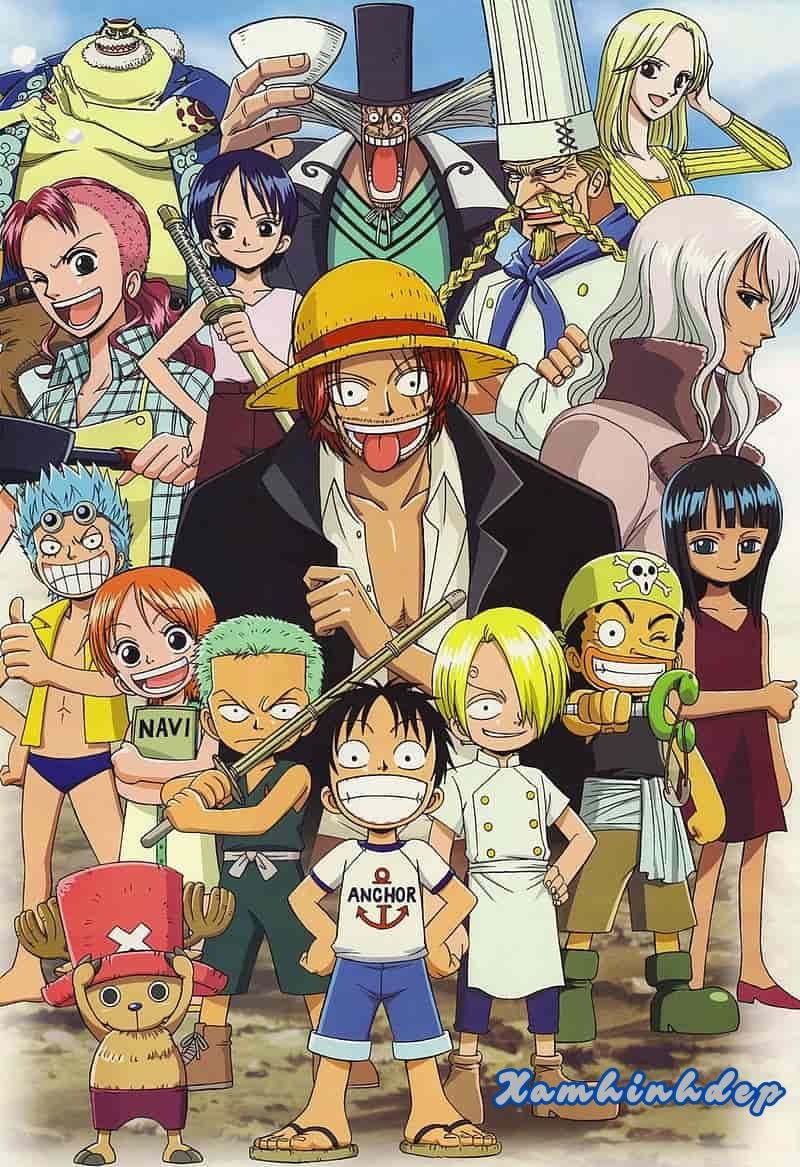 Album hình nền one piece thu hút nhất