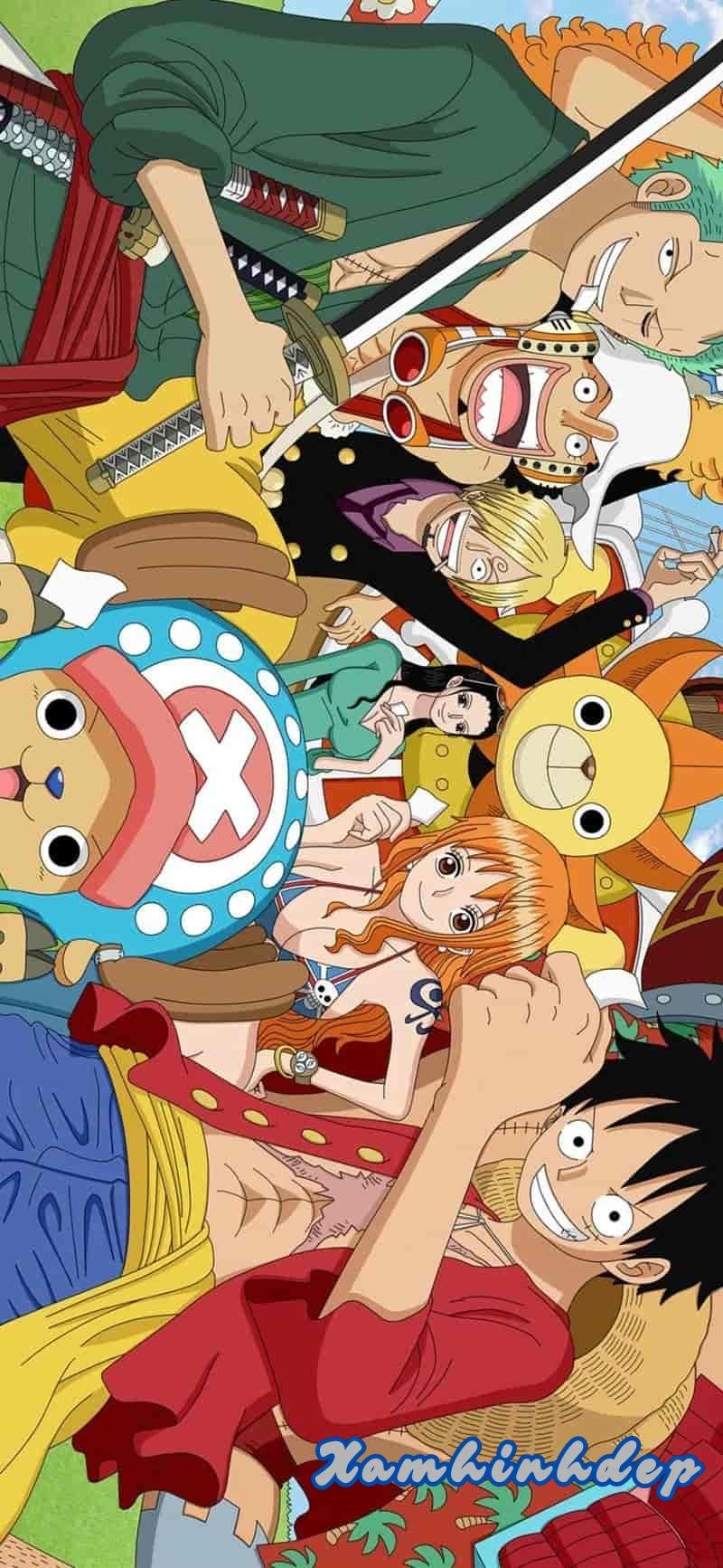 Album hình nền one piece thu hút