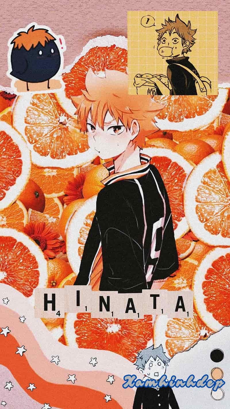 Ảnh ảnh hinata shoyo cuốn hút