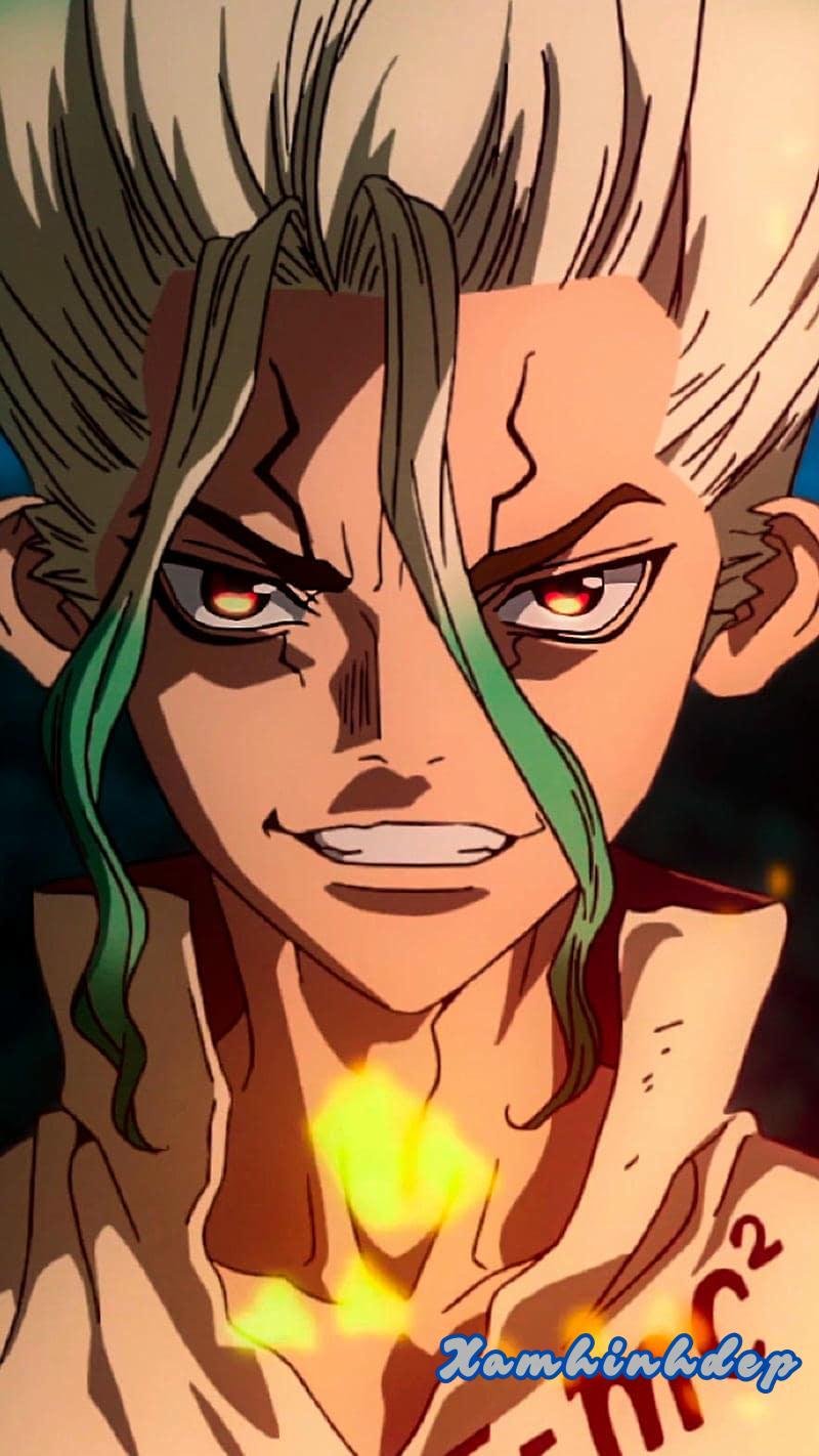Ảnh ảnh senku ishigami cuốn hút