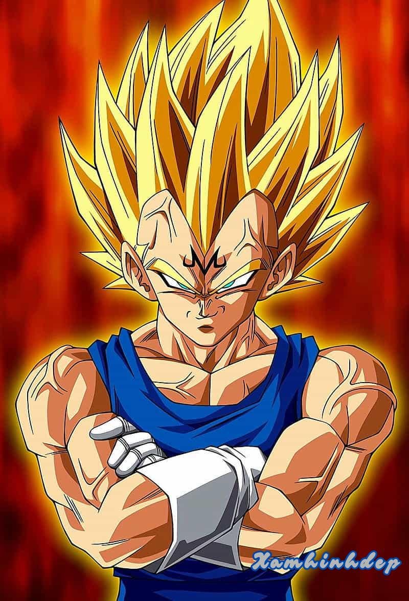 Ảnh ảnh vegeta cuốn hút