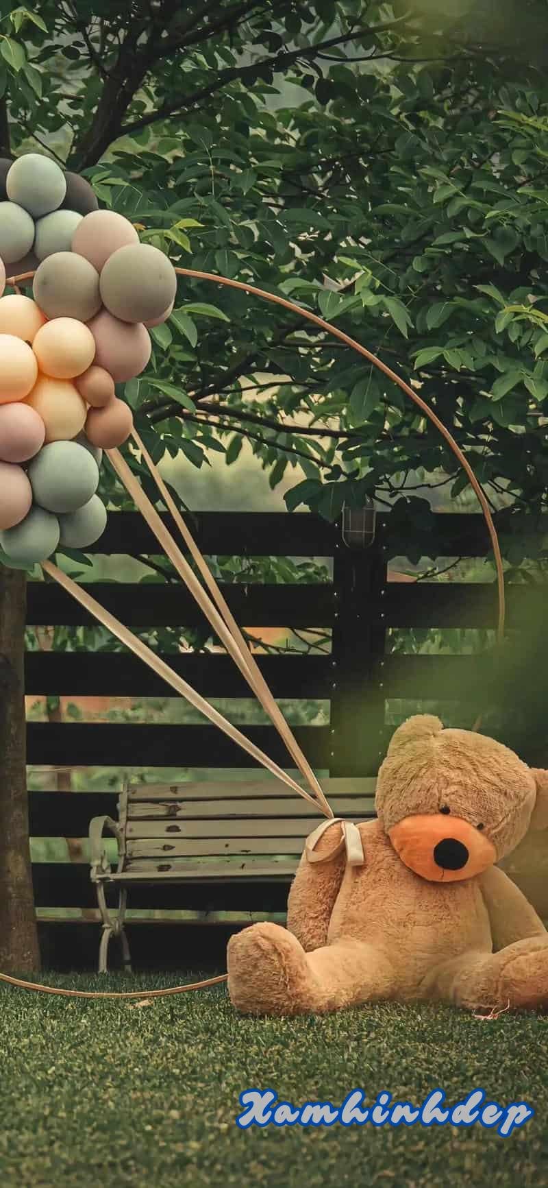 Ảnh hình nền 4k cuốn hút