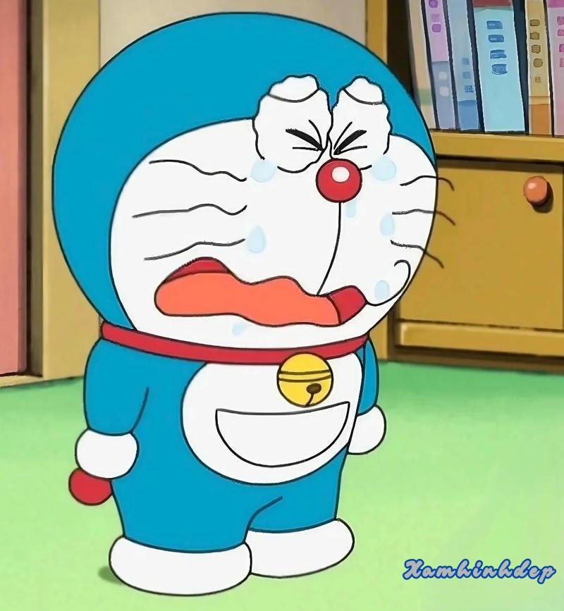 Bộ ảnh doremon độc đáo