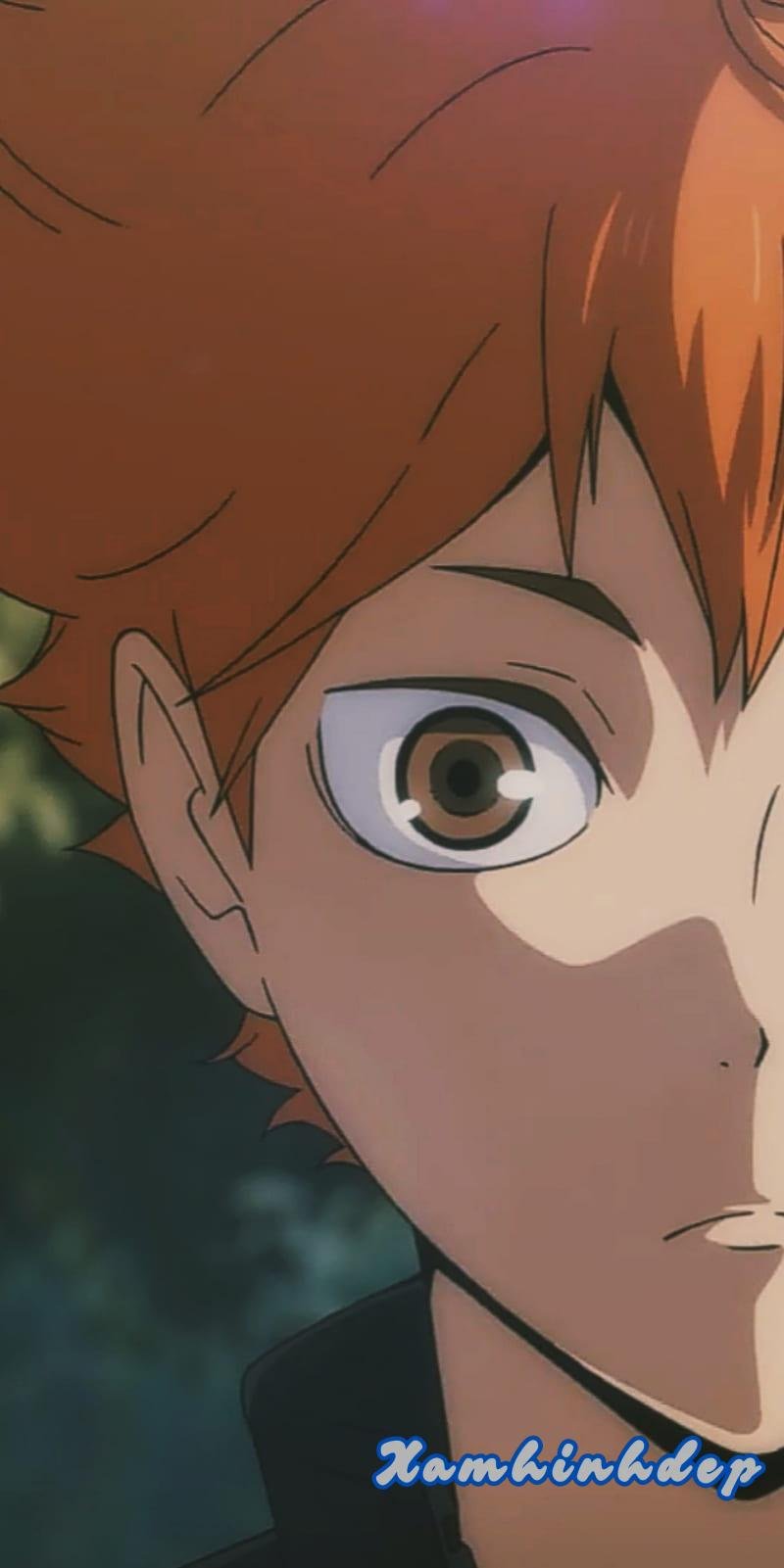 Bộ ảnh hinata shoyo độc đáo