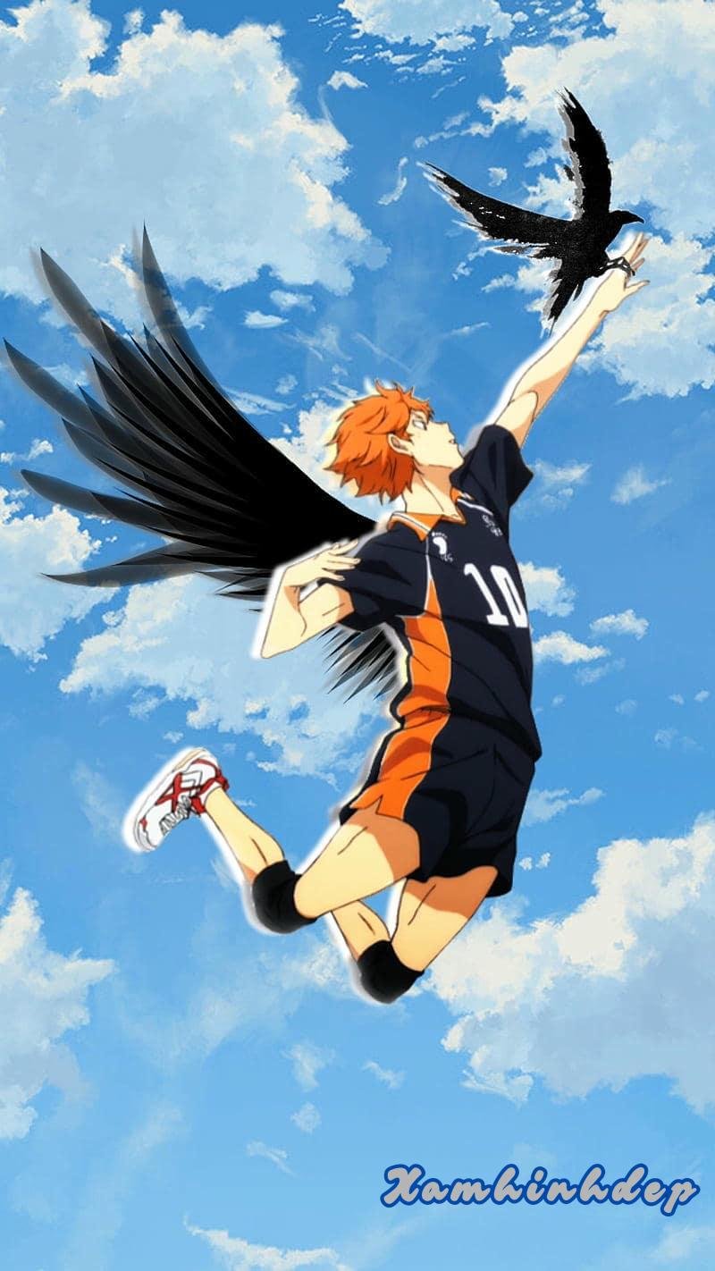Bộ ảnh hinata shoyo mới chất lượng cao