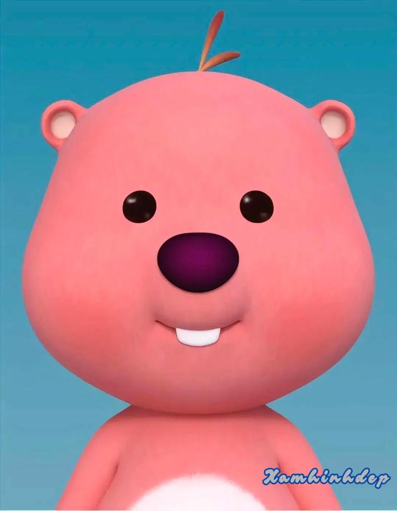 Bộ ảnh loppy độc đáo