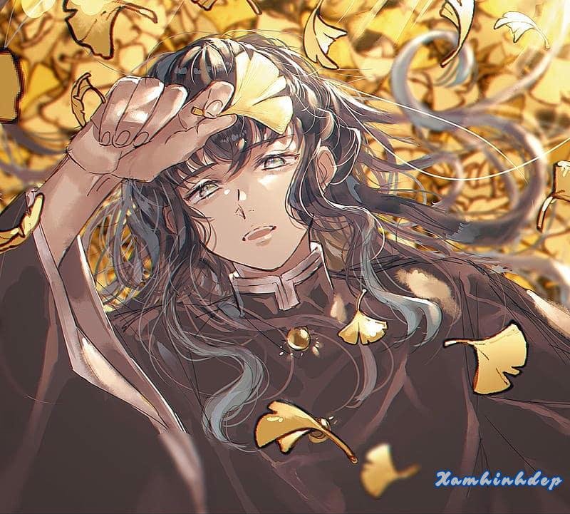 Bộ ảnh muichirou độc đáo