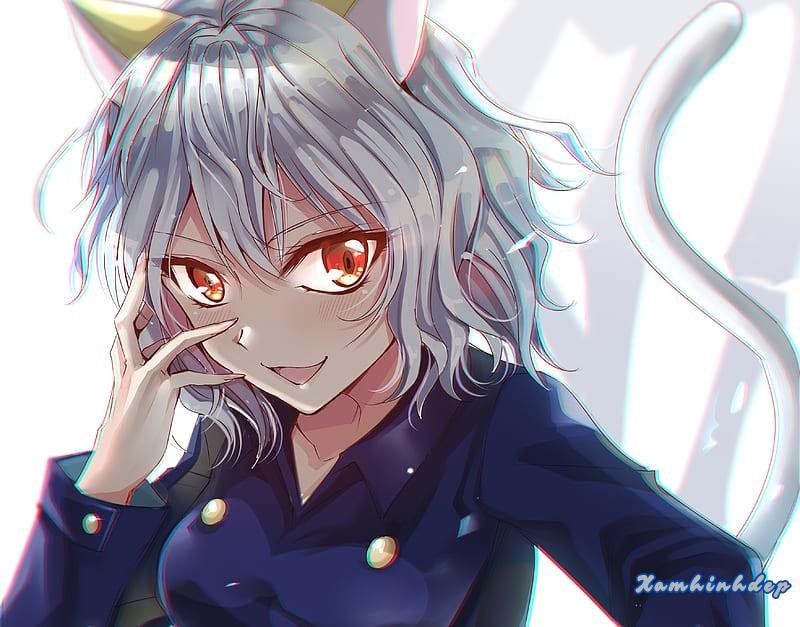 Bộ ảnh neferpitou độc đáo