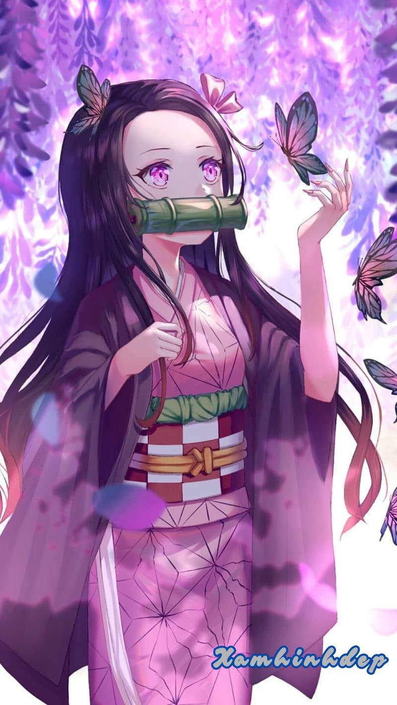 Bộ ảnh nezuko độc đáo