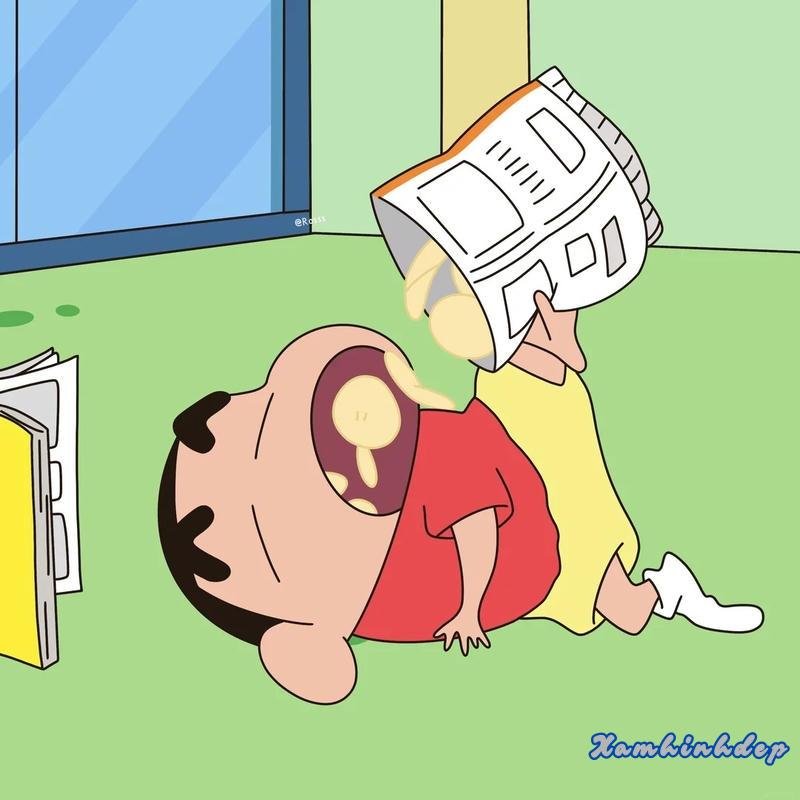 Bộ ảnh shin mới chất lượng cao