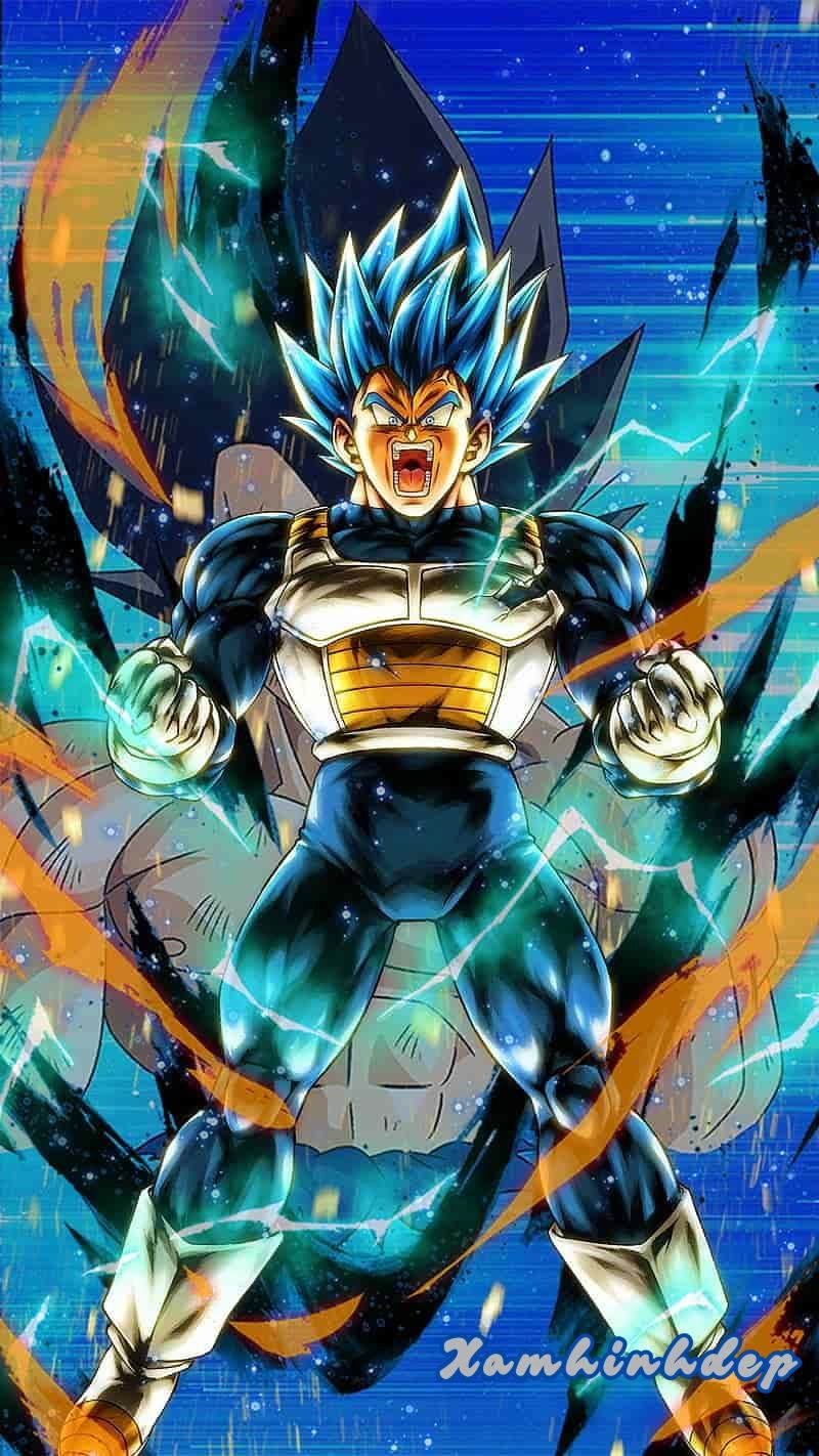Bộ ảnh vegeta độc đáo