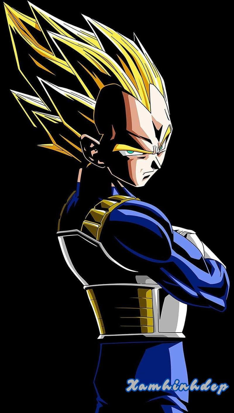 Bộ ảnh vegeta mới chất lượng cao