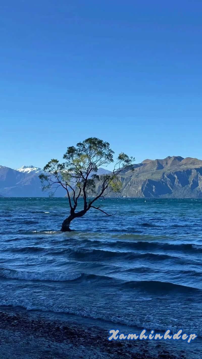 Bộ hình nền thiên nhiên độc đáo