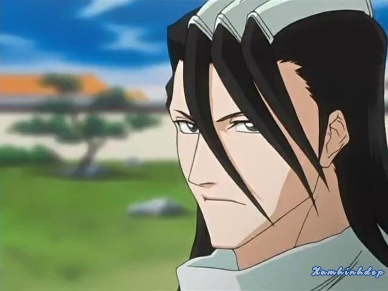 Bộ sưu tập ảnh byakuya kuchiki chất lượng nhất