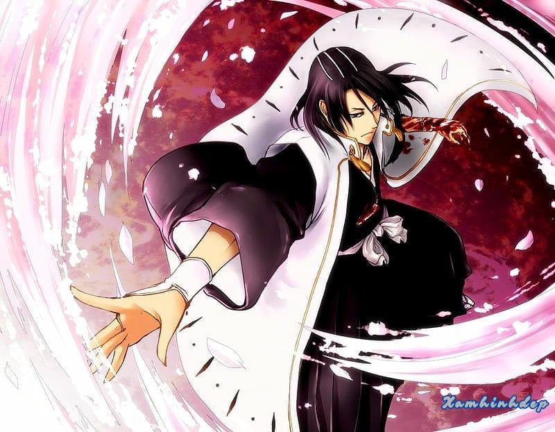 Bộ sưu tập ảnh byakuya kuchiki trend nhất