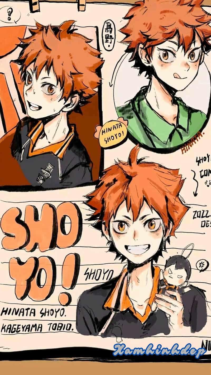 Bộ sưu tập ảnh hinata shoyo chất lượng cao