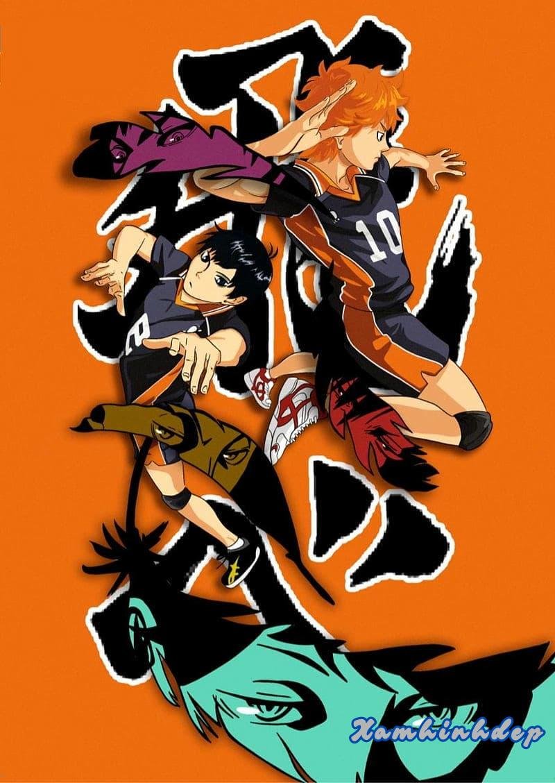 Bộ sưu tập ảnh hinata shoyo chất lượng nhất