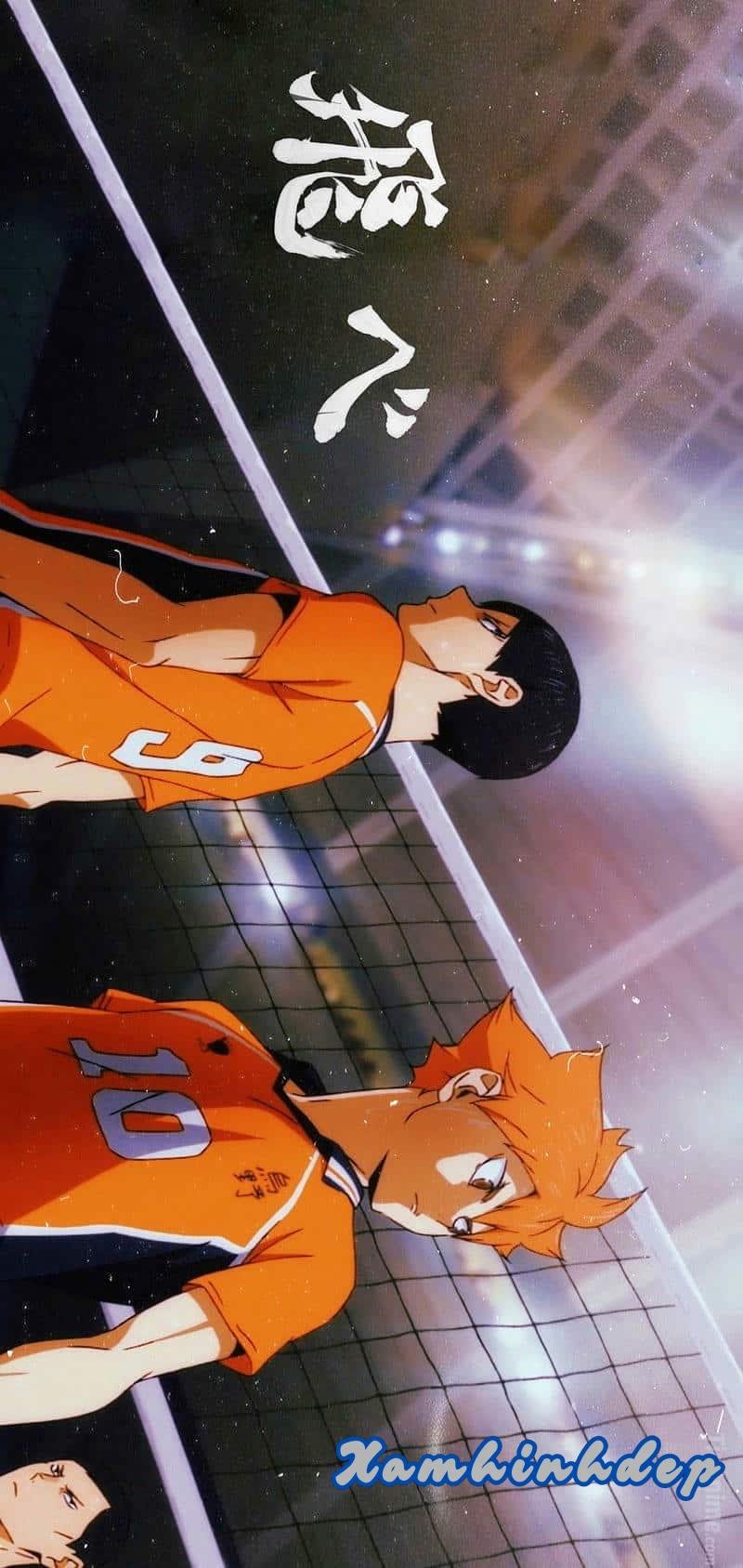 Bộ sưu tập ảnh hinata shoyo cực đẹp