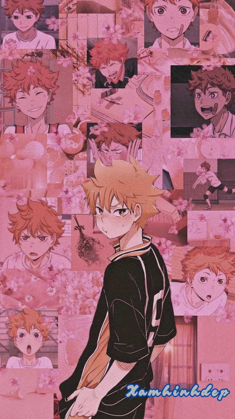 Bộ sưu tập ảnh hinata shoyo trend nhất
