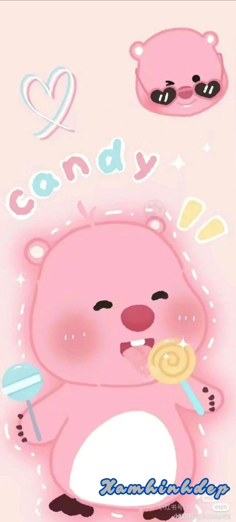 Bộ sưu tập ảnh loppy mới nhất