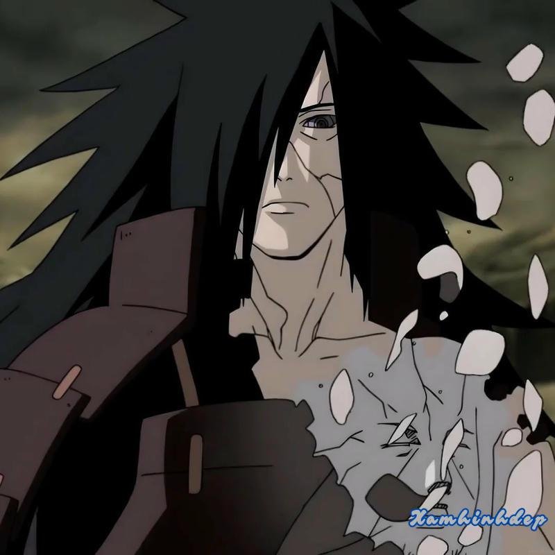 Bộ sưu tập ảnh madara chất lượng nhất