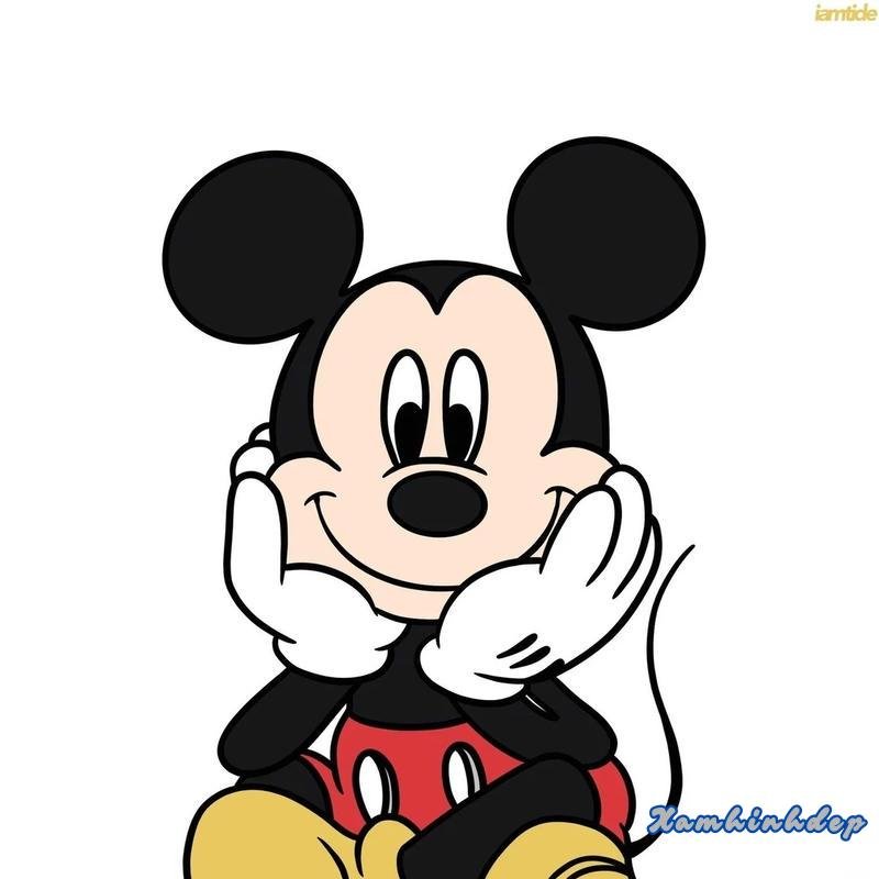 Bộ sưu tập ảnh mikey chất lượng nhất