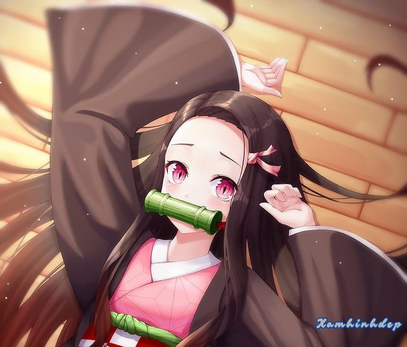 Bộ sưu tập ảnh nezuko mới nhất