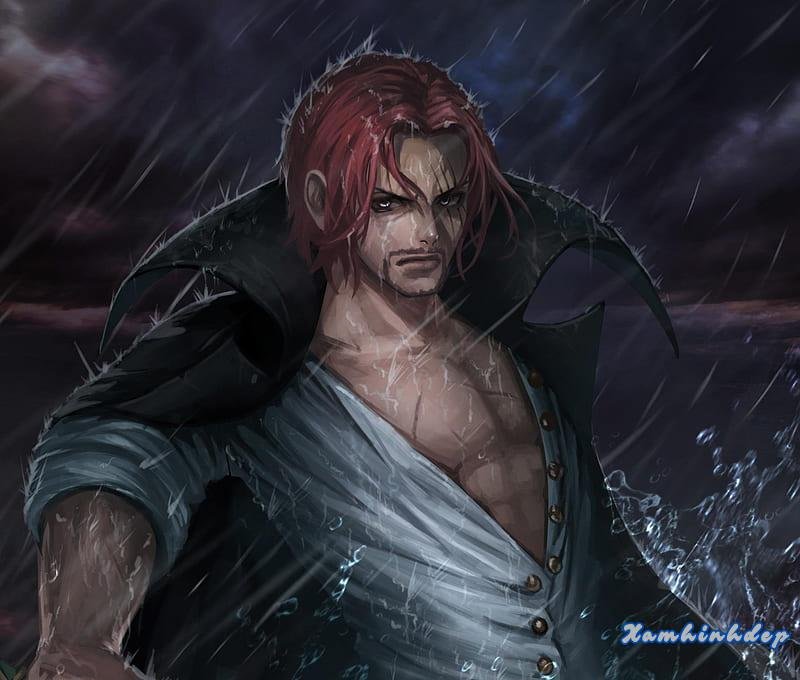 Bộ sưu tập ảnh shanks chất lượng cao