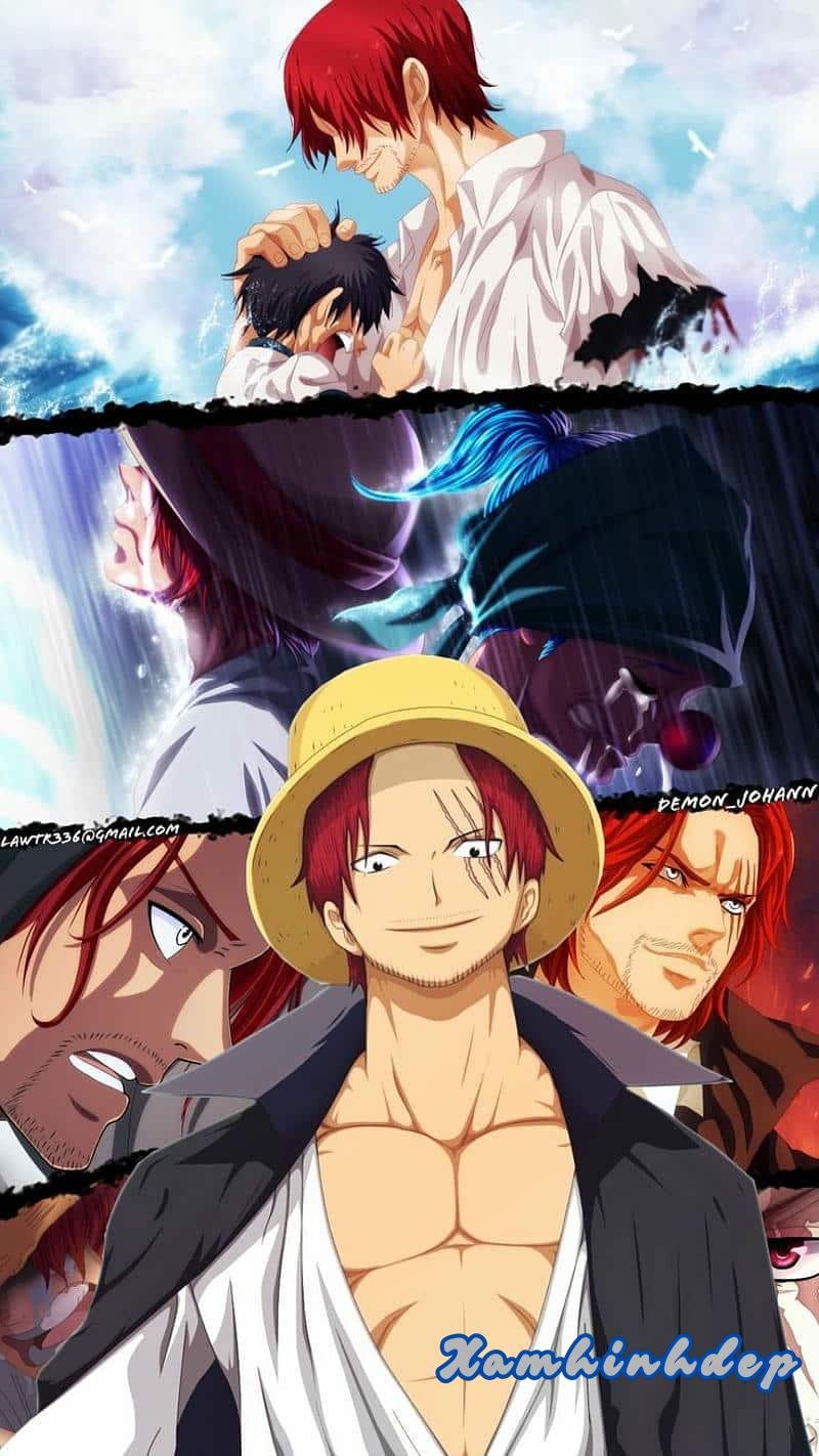 Bộ sưu tập ảnh shanks chất lượng nhất