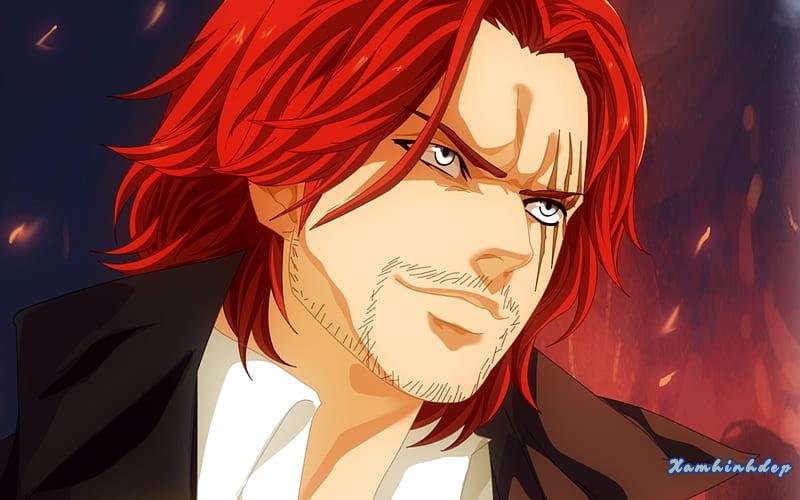 Bộ sưu tập ảnh shanks cực đẹp