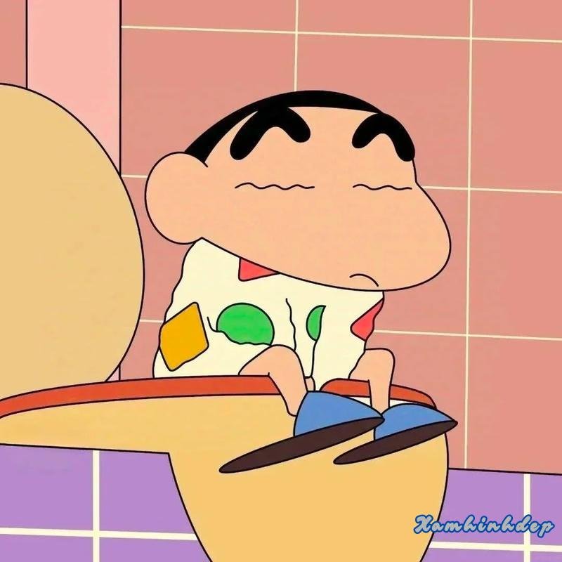 Bộ sưu tập ảnh shin cực đẹp