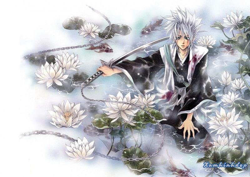 Bộ sưu tập ảnh toshiro hitsugaya trend nhất