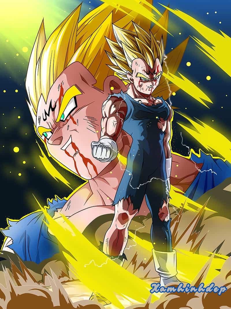 Bộ sưu tập ảnh vegeta chất lượng cao