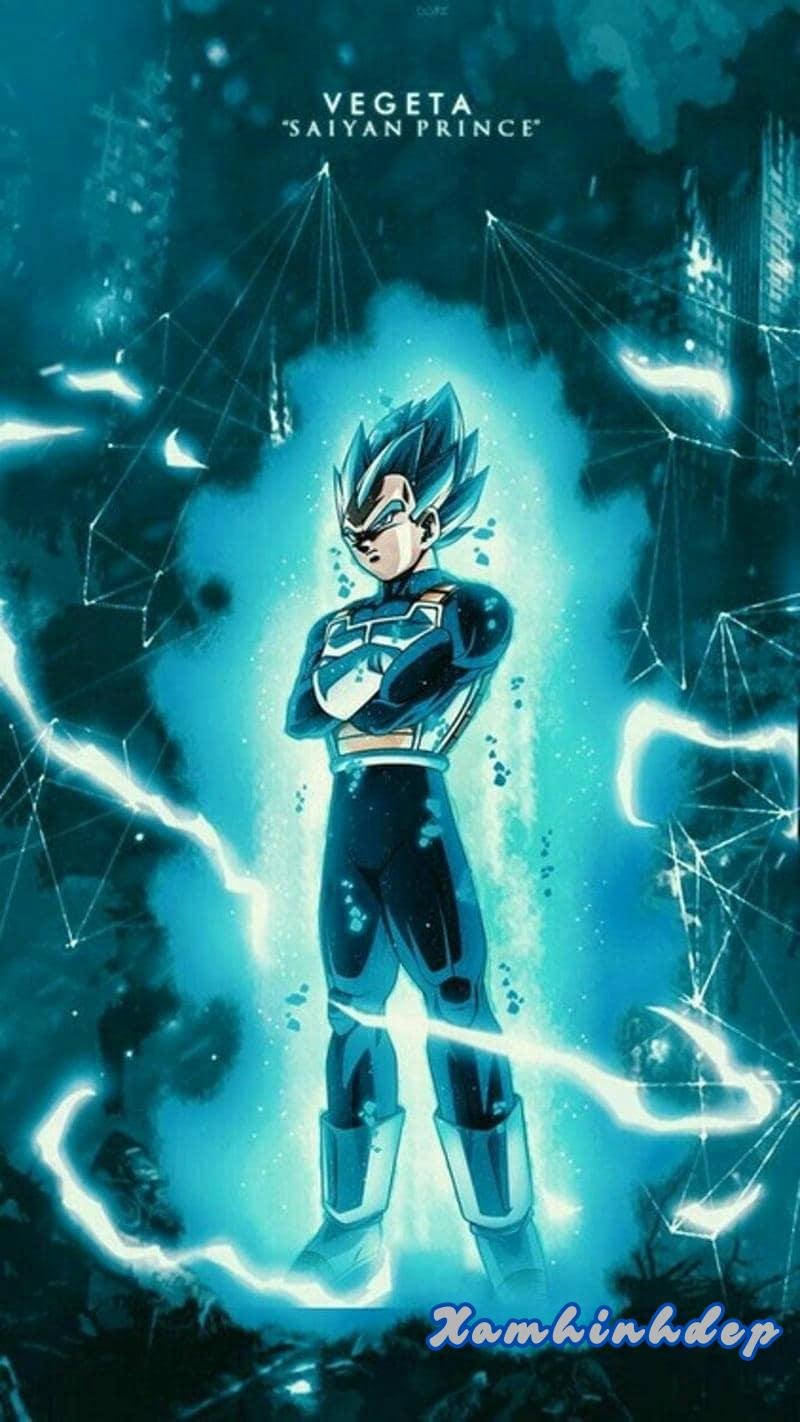 Bộ sưu tập ảnh vegeta chất lượng nhất
