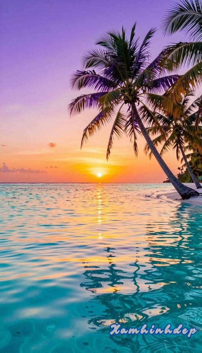 Hình nền bình minh chill nhất